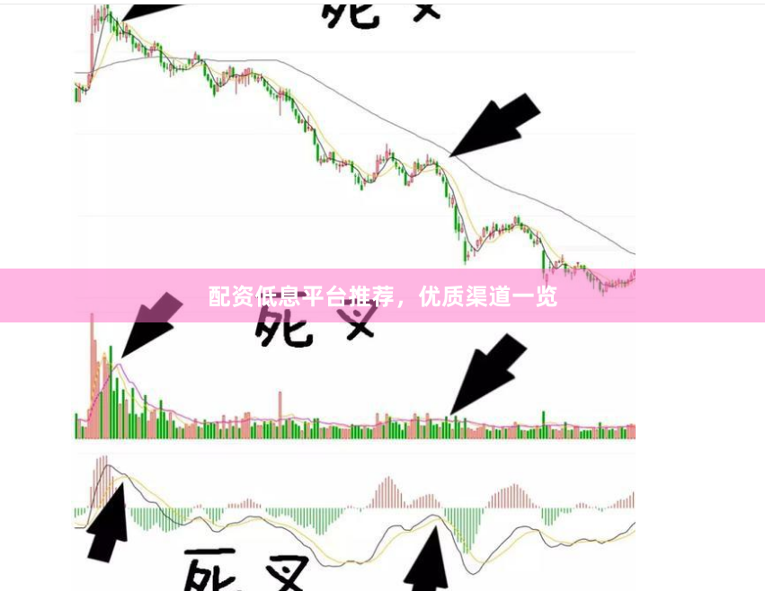 配资低息平台推荐，优质渠道一览