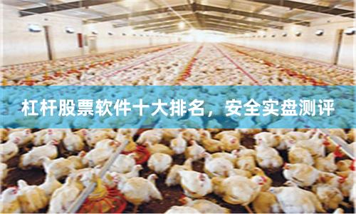 杠杆股票软件十大排名，安全实盘测评